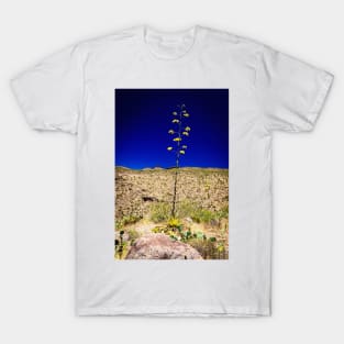 Century Plant in Arizona T-Shirt